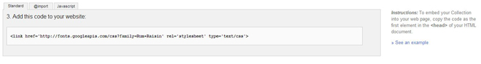 google-fonts-use-code-on-website