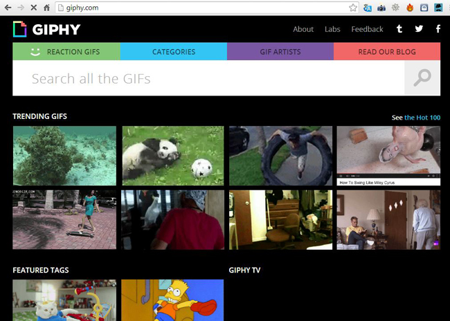 Giphy-gif-search-engine