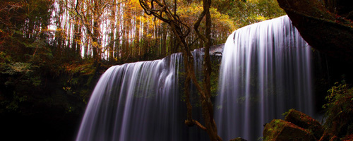 forestwaterfall