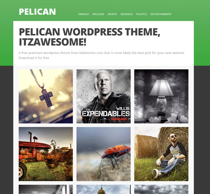 pelican---Just-another-demo-Sites-site