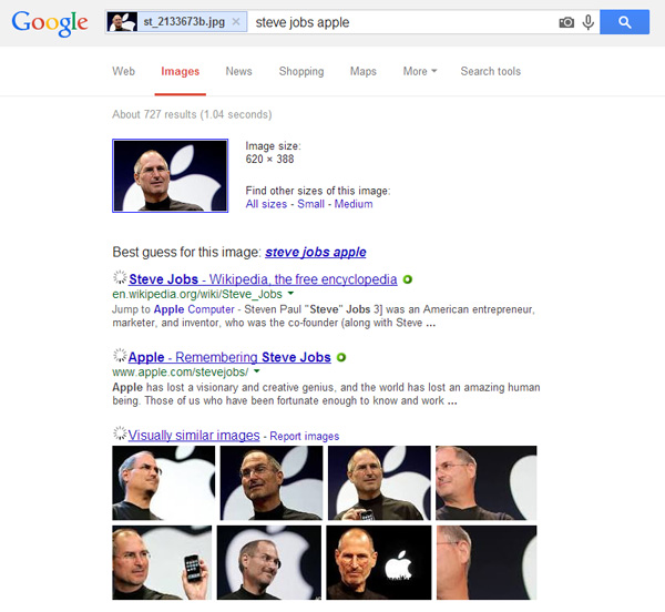 example-of-an-google-image-search-result