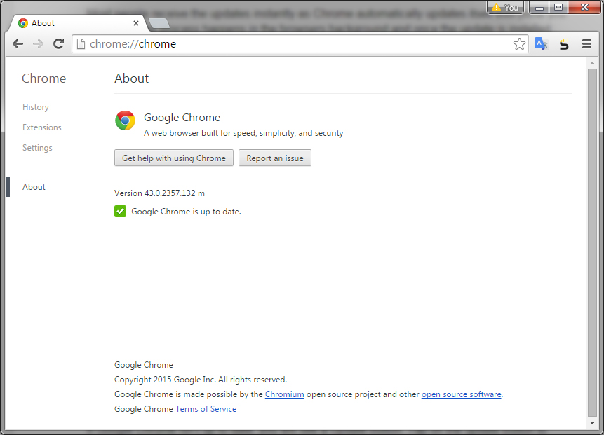 about google chrome update
